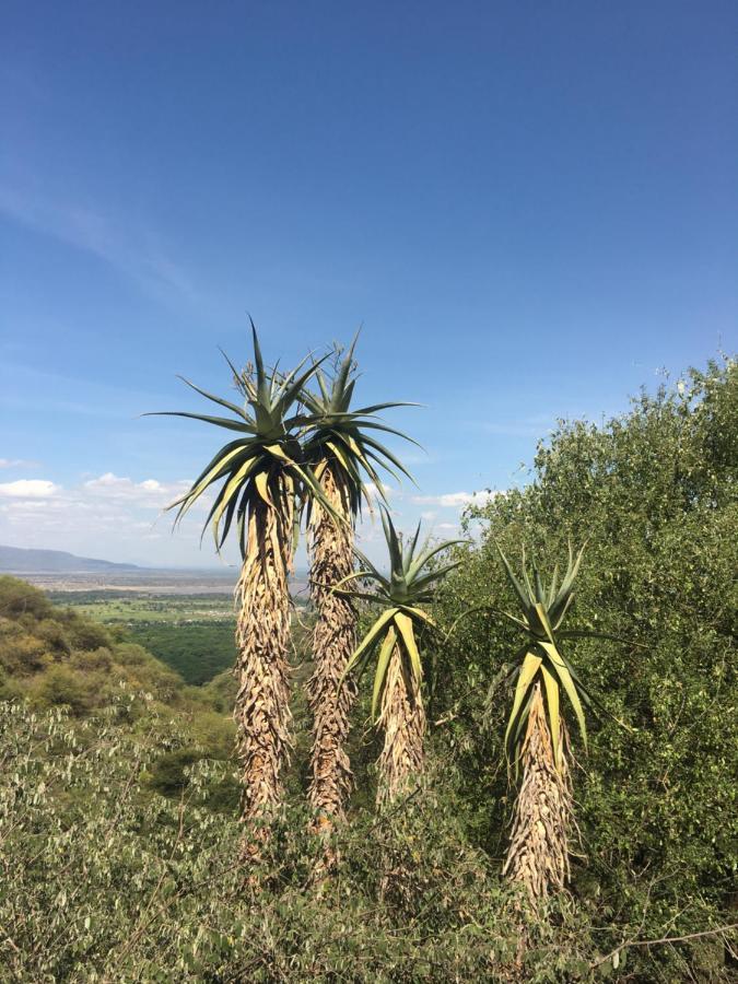 דירות מטו וואמבו Ava Garden Backpackers מראה חיצוני תמונה