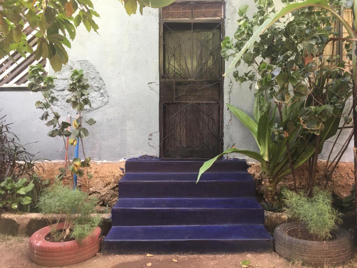 דירות מטו וואמבו Ava Garden Backpackers מראה חיצוני תמונה